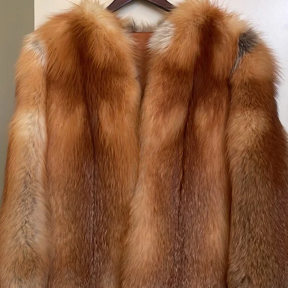 Red Fox - Picture 1 of 5